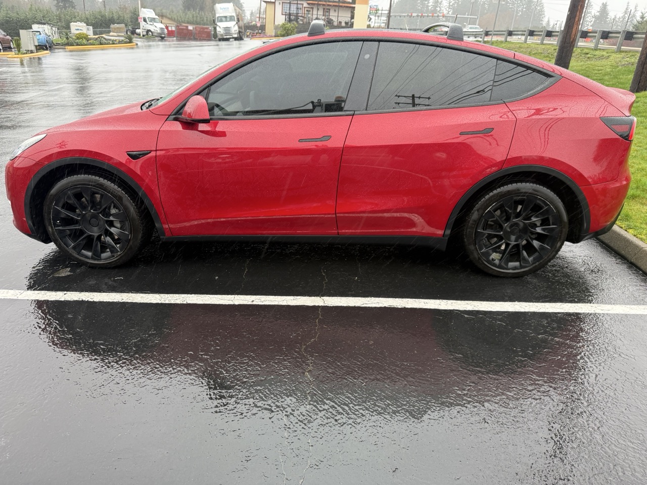 Model Y 7
